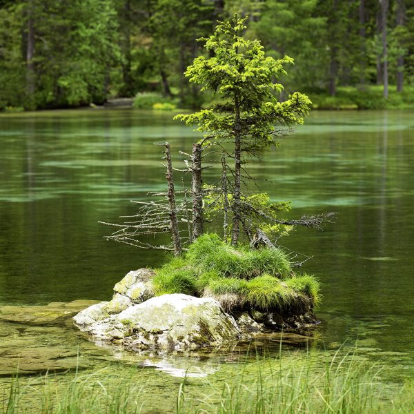 Insel im Kreuzteich, Tragöß, Steiermark