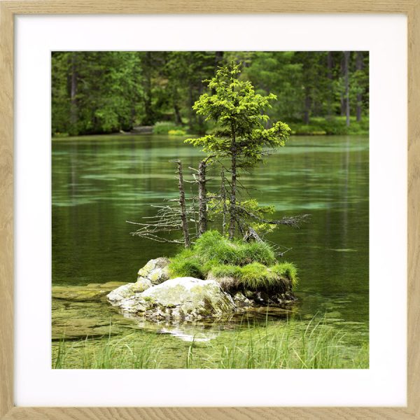 Insel im Kreuzteich, Tragöß, Steiermark - Image 3