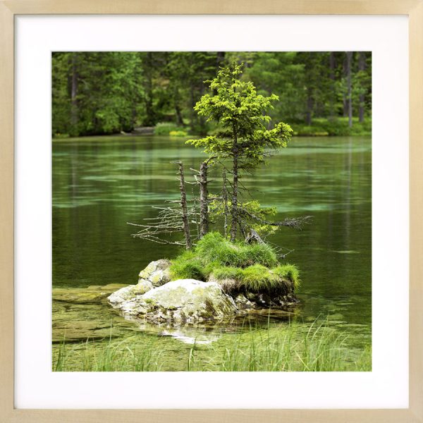 Insel im Kreuzteich, Tragöß, Steiermark - Image 2