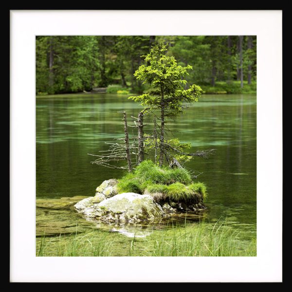 Insel im Kreuzteich, Tragöß, Steiermark - Image 4