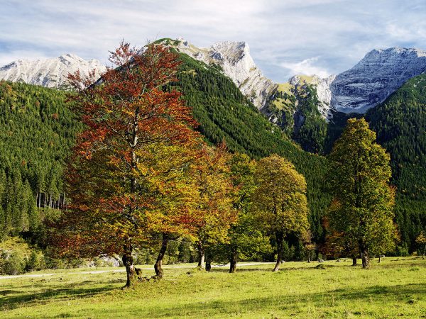 Im Karwendel, Ahornboden I, Tirol