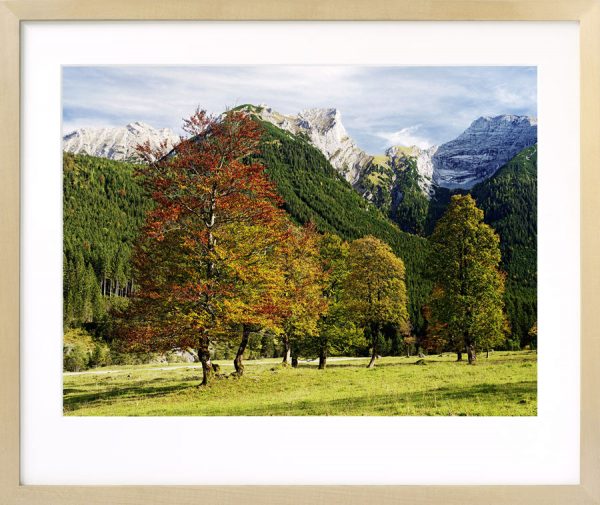 Im Karwendel, Ahornboden I, Tirol - Image 3